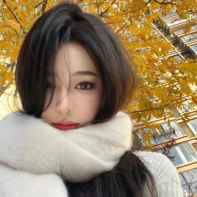谍网纵横
